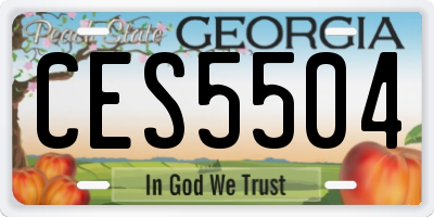 GA license plate CES5504