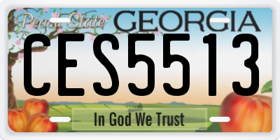 GA license plate CES5513