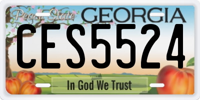GA license plate CES5524
