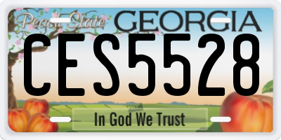 GA license plate CES5528