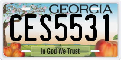 GA license plate CES5531