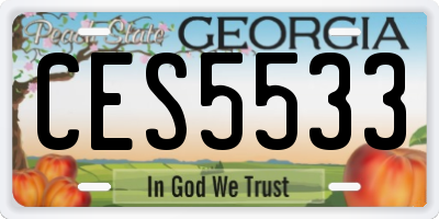 GA license plate CES5533