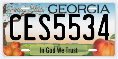 GA license plate CES5534