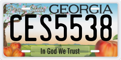 GA license plate CES5538