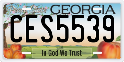 GA license plate CES5539
