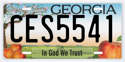 GA license plate CES5541