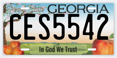 GA license plate CES5542