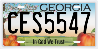 GA license plate CES5547