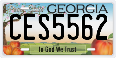 GA license plate CES5562