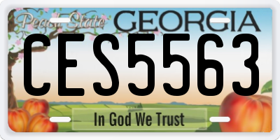 GA license plate CES5563