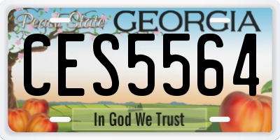 GA license plate CES5564