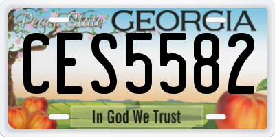 GA license plate CES5582