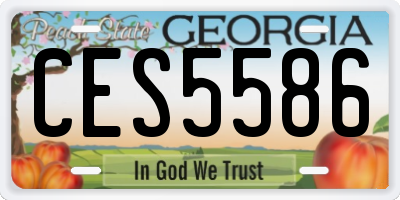 GA license plate CES5586