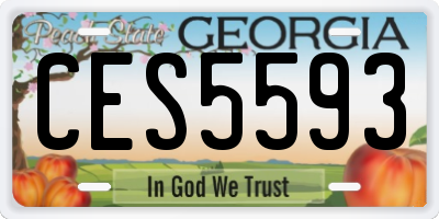 GA license plate CES5593