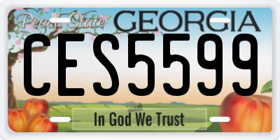 GA license plate CES5599