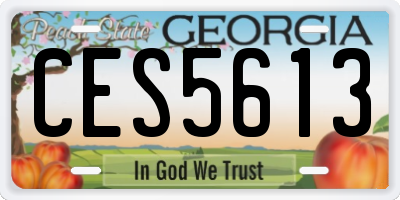 GA license plate CES5613