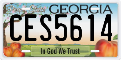GA license plate CES5614