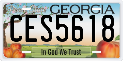 GA license plate CES5618