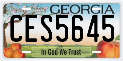GA license plate CES5645