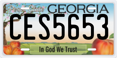 GA license plate CES5653