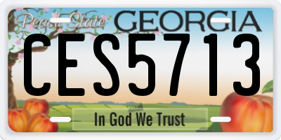 GA license plate CES5713