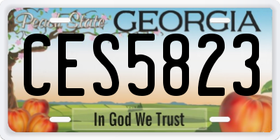 GA license plate CES5823