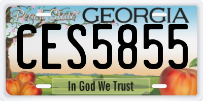 GA license plate CES5855