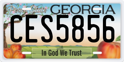 GA license plate CES5856