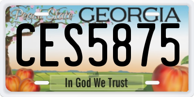GA license plate CES5875