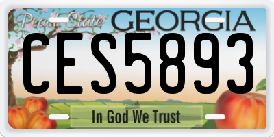 GA license plate CES5893
