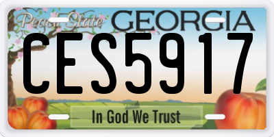 GA license plate CES5917