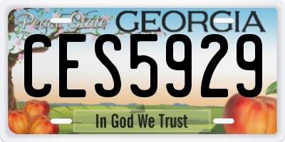 GA license plate CES5929