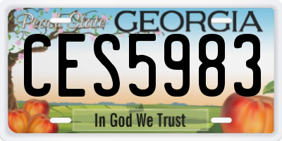 GA license plate CES5983