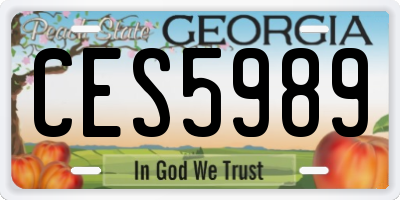 GA license plate CES5989