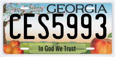 GA license plate CES5993