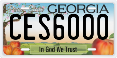 GA license plate CES6000