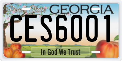 GA license plate CES6001