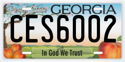GA license plate CES6002