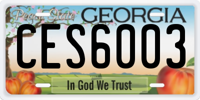 GA license plate CES6003