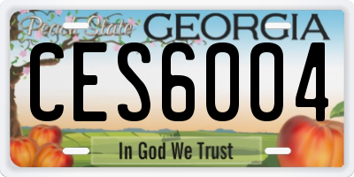 GA license plate CES6004