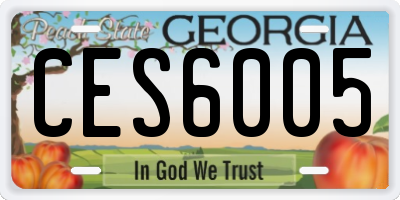 GA license plate CES6005
