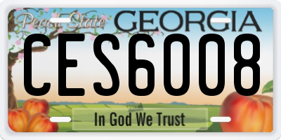 GA license plate CES6008