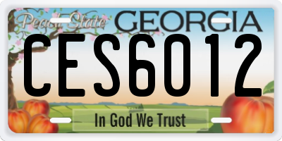GA license plate CES6012