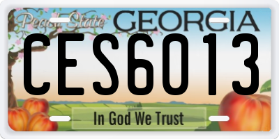 GA license plate CES6013