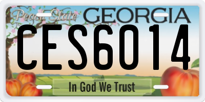 GA license plate CES6014