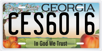 GA license plate CES6016