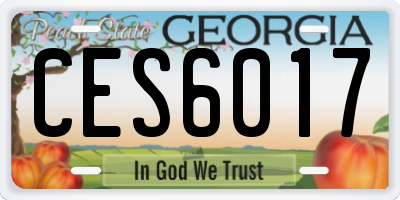 GA license plate CES6017