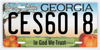 GA license plate CES6018