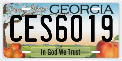 GA license plate CES6019