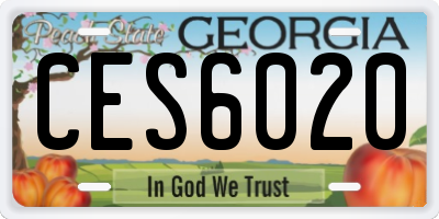 GA license plate CES6020
